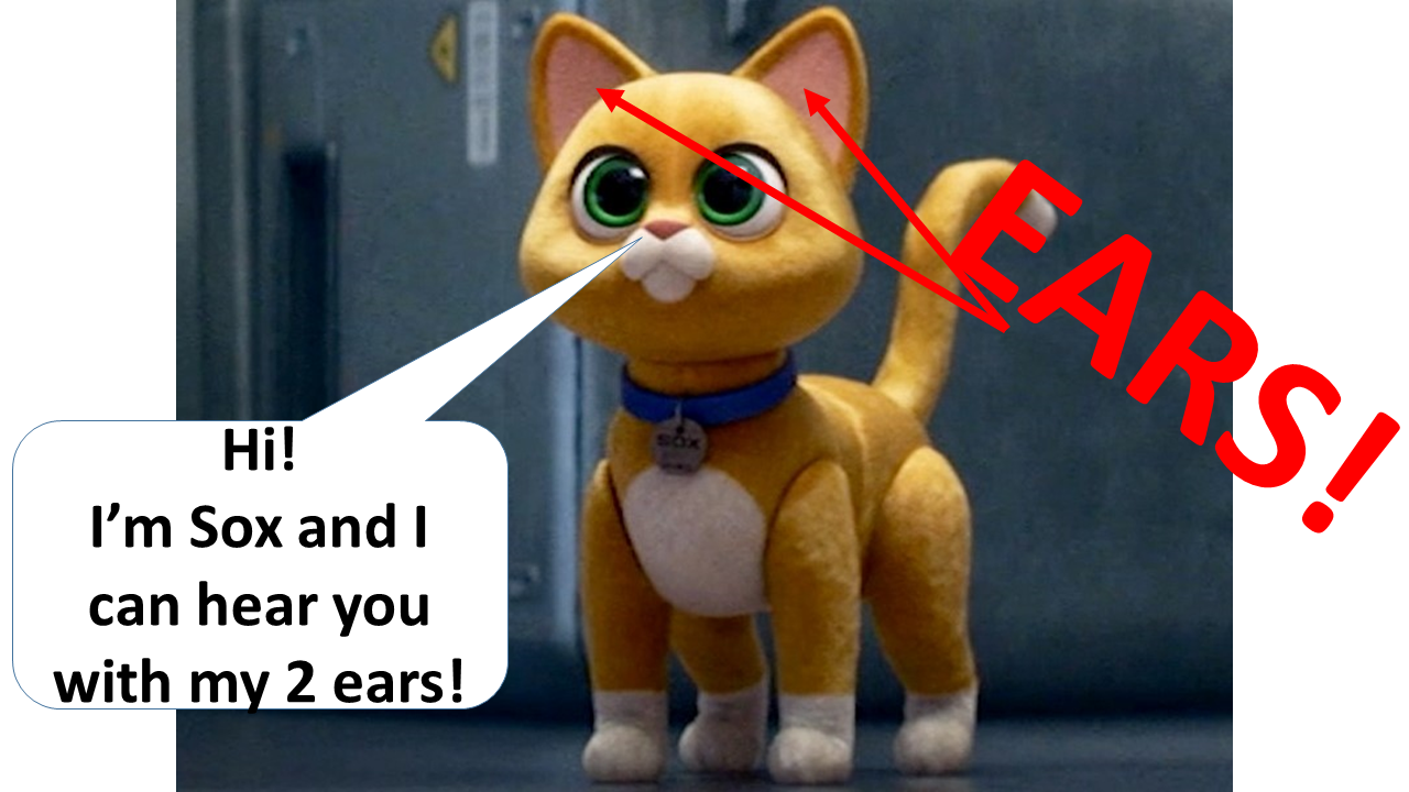 Sox Can Hear, Sox Can Talk!